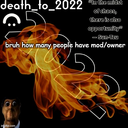 random ass template for some thingy | bruh how many people have mod/owner | image tagged in random ass template for some thingy | made w/ Imgflip meme maker