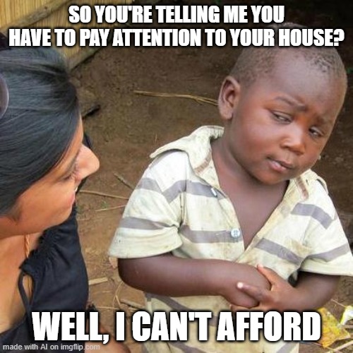 Third World Skeptical Kid | SO YOU'RE TELLING ME YOU HAVE TO PAY ATTENTION TO YOUR HOUSE? WELL, I CAN'T AFFORD | image tagged in memes,third world skeptical kid | made w/ Imgflip meme maker