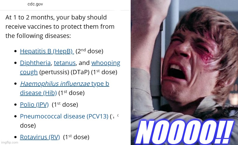 NOOOO!! | image tagged in luke nooooo | made w/ Imgflip meme maker