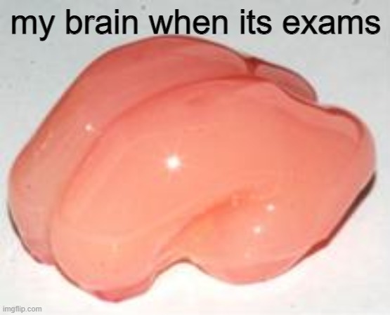 true | my brain when its exams | image tagged in smooth brain | made w/ Imgflip meme maker
