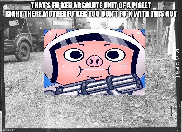 Wildcat meme | THAT'S FU*KEN ABSOLUTE UNIT OF A PIGLET RIGHT THERE,MOTHERFU*KER YOU DON'T FU*K WITH THIS GUY | image tagged in absolute unit sheep | made w/ Imgflip meme maker