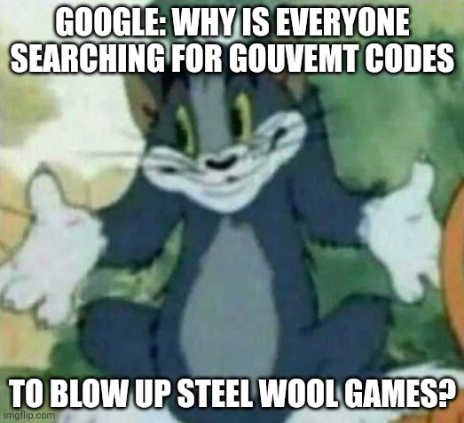 tom i dont know meme | GOOGLE: WHY IS EVERYONE SEARCHING FOR GOUVEMT CODES; TO BLOW UP STEEL WOOL GAMES? | image tagged in tom i dont know meme | made w/ Imgflip meme maker