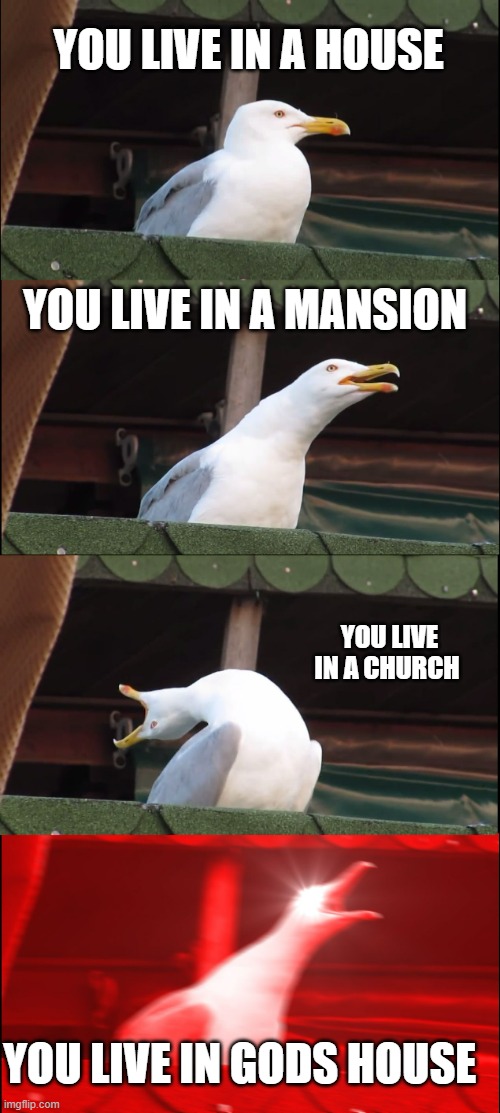 Inhaling Seagull |  YOU LIVE IN A HOUSE; YOU LIVE IN A MANSION; YOU LIVE IN A CHURCH; YOU LIVE IN GODS HOUSE | image tagged in memes,inhaling seagull | made w/ Imgflip meme maker