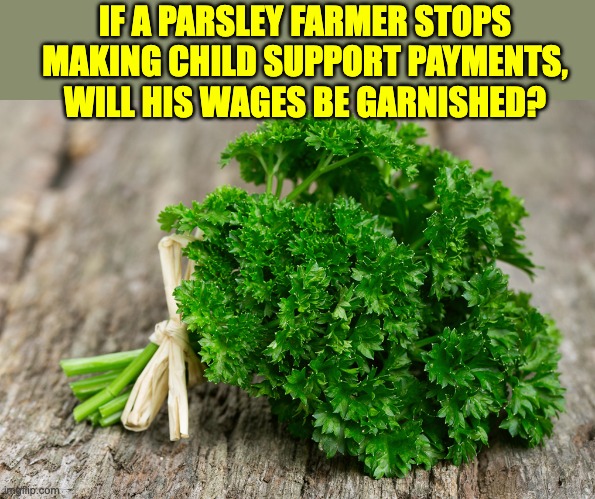 Garnish | IF A PARSLEY FARMER STOPS MAKING CHILD SUPPORT PAYMENTS, WILL HIS WAGES BE GARNISHED? | image tagged in bad pun | made w/ Imgflip meme maker