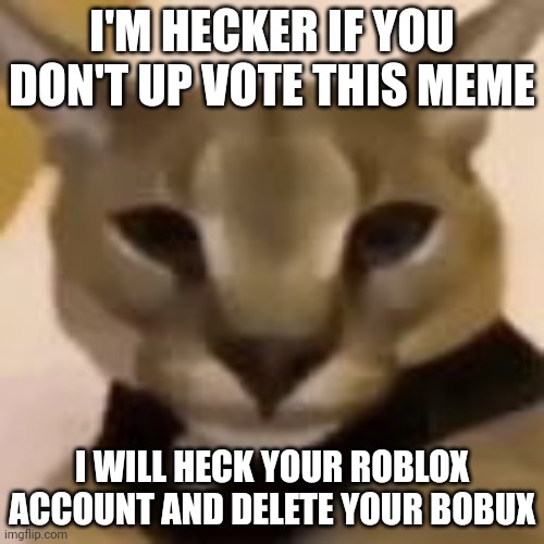 I will not hack anyone it's a joke ok | I'M HECKER IF YOU DON'T UP VOTE THIS MEME; I WILL HECK YOUR ROBLOX ACCOUNT AND DELETE YOUR BOBUX | image tagged in hecker,joke | made w/ Imgflip meme maker