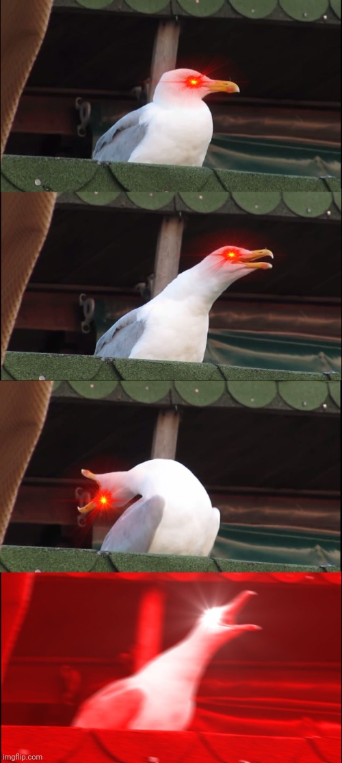 Inhaling Seagull | image tagged in memes,inhaling seagull | made w/ Imgflip meme maker