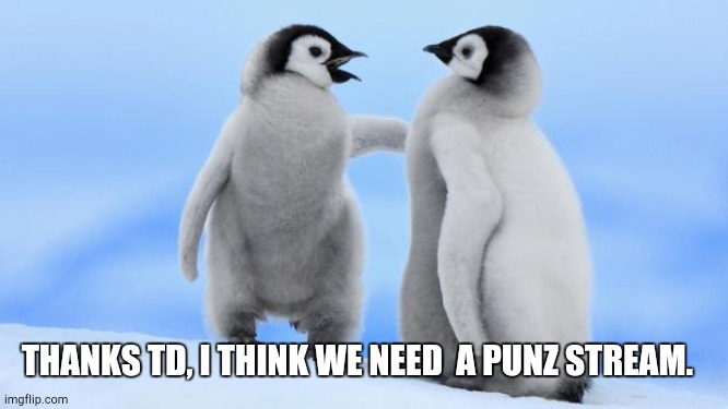 Penguin love | THANKS TD, I THINK WE NEED  A PUNZ STREAM. | image tagged in penguin love | made w/ Imgflip meme maker