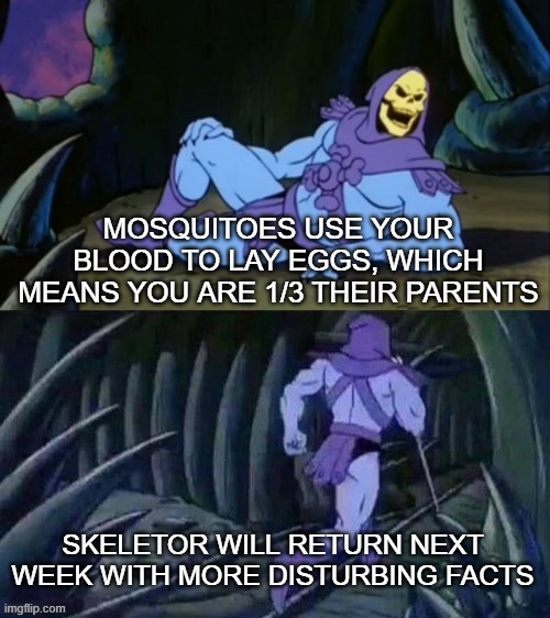 oh sh*t | MOSQUITOES USE YOUR BLOOD TO LAY EGGS, WHICH MEANS YOU ARE 1/3 THEIR PARENTS; SKELETOR WILL RETURN NEXT WEEK WITH MORE DISTURBING FACTS | image tagged in skeletor disturbing facts | made w/ Imgflip meme maker