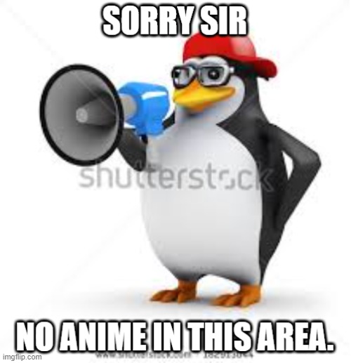 no anime | image tagged in no anime | made w/ Imgflip meme maker