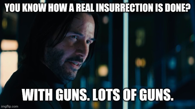 The only protester armed that day was an undercover fed. | image tagged in memes | made w/ Imgflip meme maker