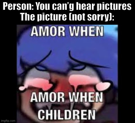 I can hear the gay moaning from here. | Person: You can’g hear pictures
The picture (not sorry): | image tagged in oh,amor is a pedo,right | made w/ Imgflip meme maker