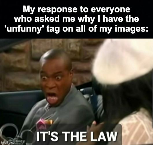 The real reason is because I have no self confidence in myself and my memes. | My response to everyone who asked me why I have the 'unfunny' tag on all of my images: | image tagged in it's the law,memes,unfunny | made w/ Imgflip meme maker