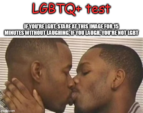 Good luck | LGBTQ+ test; IF YOU'RE LGBT, STARE AT THIS IMAGE FOR 15 MINUTES WITHOUT LAUGHING, IF YOU LAUGH, YOU'RE NOT LGBT | image tagged in memes,lgbtq,test | made w/ Imgflip meme maker