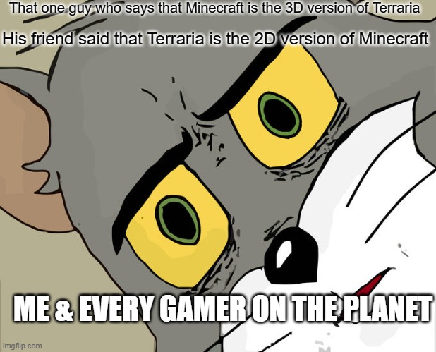 Unsettled Tom Meme | That one guy who says that Minecraft is the 3D version of Terraria; His friend said that Terraria is the 2D version of Minecraft; ME & EVERY GAMER ON THE PLANET | image tagged in memes,unsettled tom | made w/ Imgflip meme maker