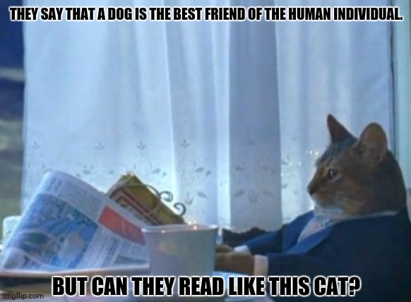 I Should Buy A Boat Cat Meme | THEY SAY THAT A DOG IS THE BEST FRIEND OF THE HUMAN INDIVIDUAL. BUT CAN THEY READ LIKE THIS CAT? | image tagged in memes,read,kitty | made w/ Imgflip meme maker