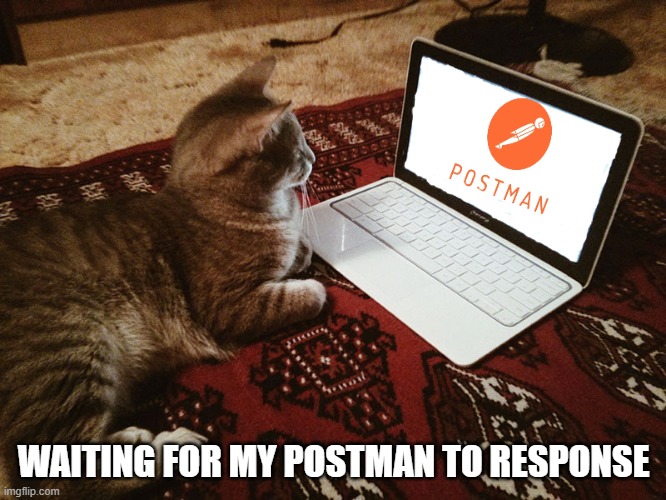 programing | WAITING FOR MY POSTMAN TO RESPONSE | image tagged in programming,programmers,code,coding | made w/ Imgflip meme maker