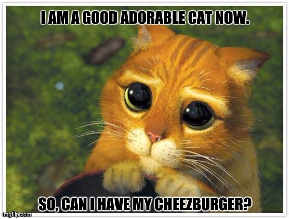 Shrek Cat Meme | I AM A GOOD ADORABLE CAT NOW. SO, CAN I HAVE MY CHEEZBURGER? | image tagged in memes,kitty,borg | made w/ Imgflip meme maker