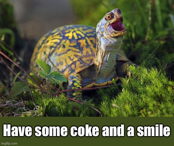 Have some coke and a smile | made w/ Imgflip meme maker