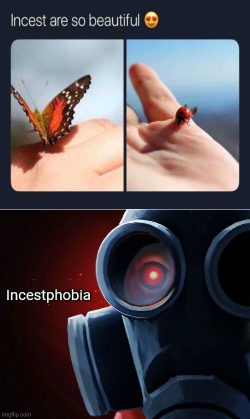 *Insects | image tagged in incestphobia,insects,insect,spelling error,memes,incest | made w/ Imgflip meme maker