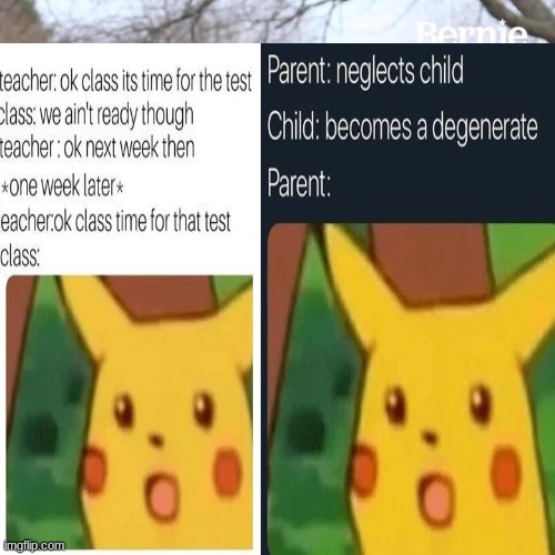 no test | image tagged in surprised pikachu | made w/ Imgflip meme maker