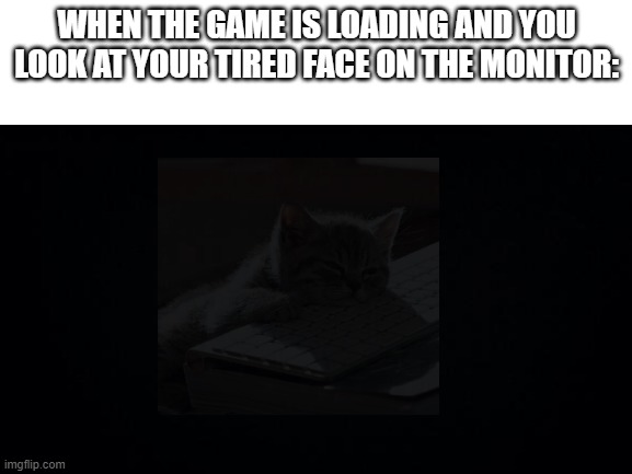 WHEN THE GAME IS LOADING AND YOU LOOK AT YOUR TIRED FACE ON THE MONITOR: | image tagged in blank white template,cat,memes,funny,why are you reading this | made w/ Imgflip meme maker