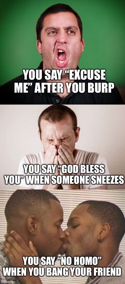 Proper etiquette | YOU SAY “EXCUSE ME” AFTER YOU BURP; YOU SAY “GOD BLESS YOU” WHEN SOMEONE SNEEZES; YOU SAY “NO HOMO” WHEN YOU BANG YOUR FRIEND | image tagged in guy burping,big sneeze,2 gay black mens kissing | made w/ Imgflip meme maker