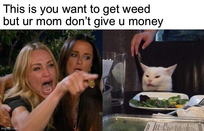 When u want to get weed | This is you want to get weed but ur mom don’t give u money | image tagged in memes,woman yelling at cat | made w/ Imgflip meme maker