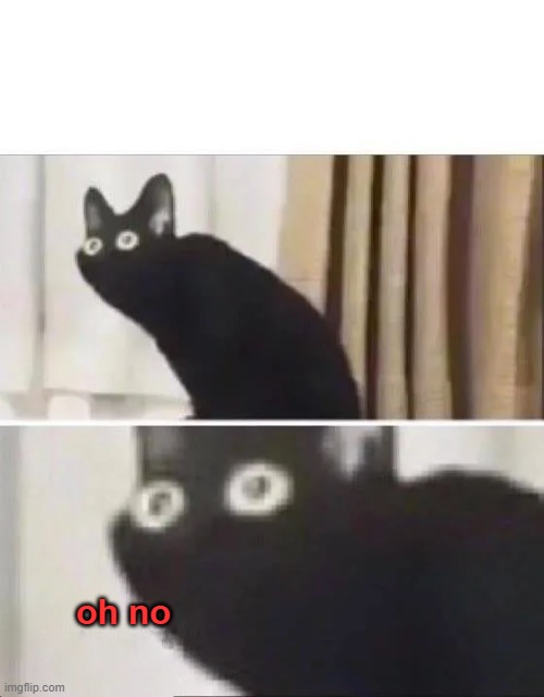 Oh No Black Cat | oh no | image tagged in oh no black cat | made w/ Imgflip meme maker