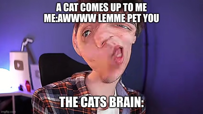 yes give head pats no don't pet me | A CAT COMES UP TO ME
ME:AWWWW LEMME PET YOU; THE CATS BRAIN: | image tagged in oh you don't know what karlson is | made w/ Imgflip meme maker