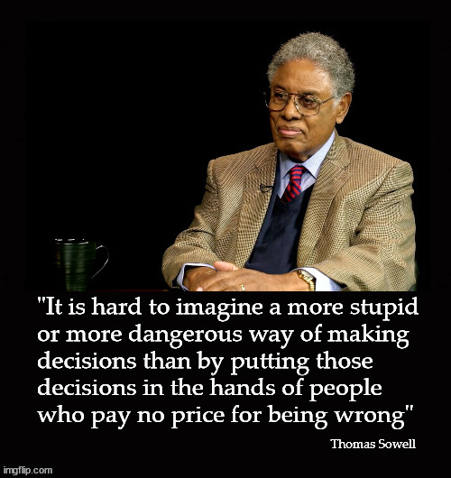 stupid decisions | image tagged in thomas sowell | made w/ Imgflip meme maker