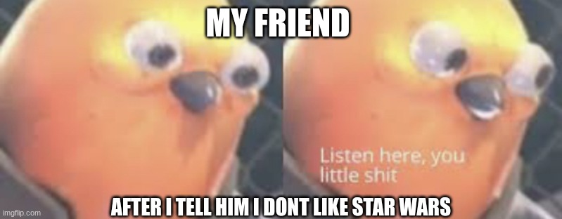 Listen here you little shit bird |  MY FRIEND; AFTER I TELL HIM I DONT LIKE STAR WARS | image tagged in listen here you little shit bird | made w/ Imgflip meme maker