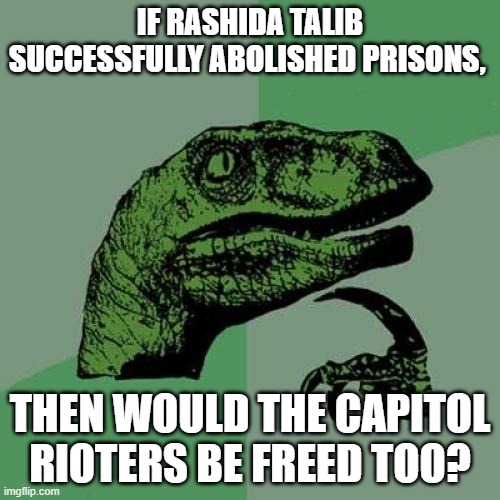 Philosoraptor |  IF RASHIDA TALIB SUCCESSFULLY ABOLISHED PRISONS, THEN WOULD THE CAPITOL RIOTERS BE FREED TOO? | image tagged in memes,philosoraptor | made w/ Imgflip meme maker