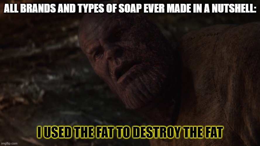 i used the stones to destroy the stones | ALL BRANDS AND TYPES OF SOAP EVER MADE IN A NUTSHELL:; I USED THE FAT TO DESTROY THE FAT | image tagged in i used the stones to destroy the stones | made w/ Imgflip meme maker