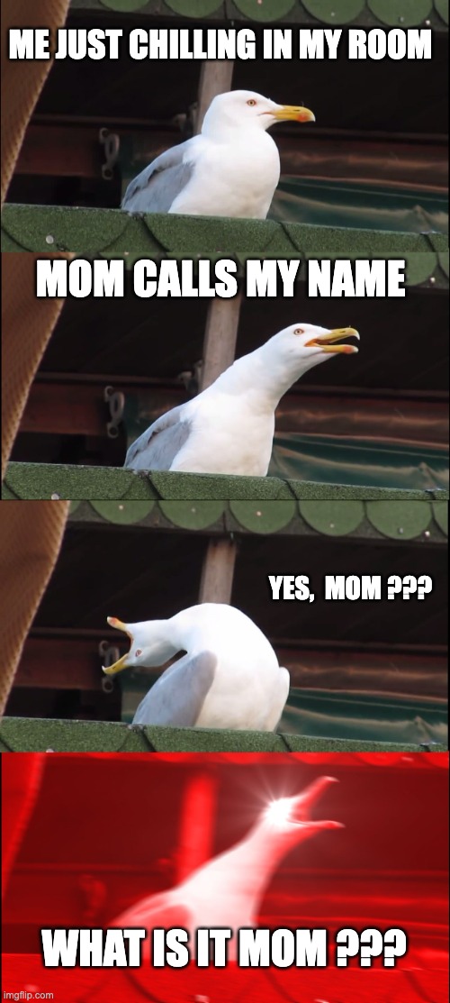 random meme thing or something | ME JUST CHILLING IN MY ROOM; MOM CALLS MY NAME; YES,  MOM ??? WHAT IS IT MOM ??? | image tagged in memes,inhaling seagull | made w/ Imgflip meme maker