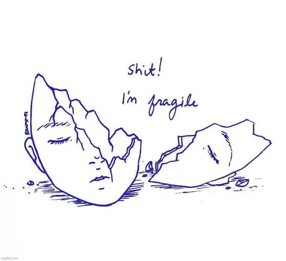 fragile | image tagged in fragile | made w/ Imgflip meme maker