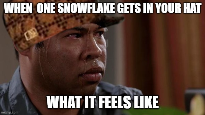 yea true | WHEN  ONE SNOWFLAKE GETS IN YOUR HAT; WHAT IT FEELS LIKE | image tagged in true | made w/ Imgflip meme maker