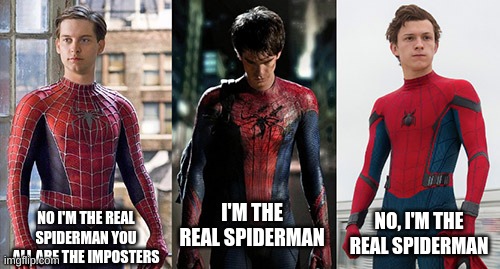 I'm the real spider meme | I'M THE REAL SPIDERMAN; NO I'M THE REAL SPIDERMAN YOU ALL ARE THE IMPOSTERS; NO, I'M THE REAL SPIDERMAN | image tagged in funny | made w/ Imgflip meme maker