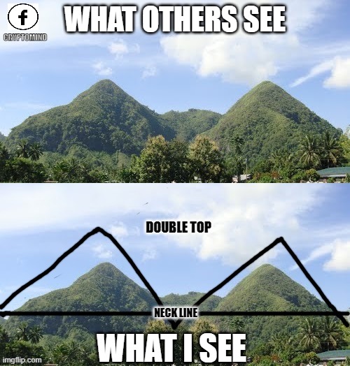 WHAT OTHERS SEE; CRYPTOMIND; DOUBLE TOP; NECK LINE; WHAT I SEE | image tagged in funny memes,cryptocurrency | made w/ Imgflip meme maker