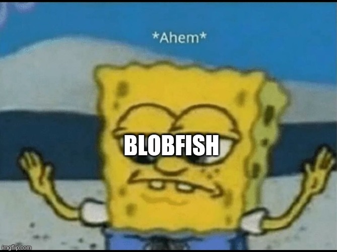 Ahem | BLOBFISH | image tagged in ahem | made w/ Imgflip meme maker