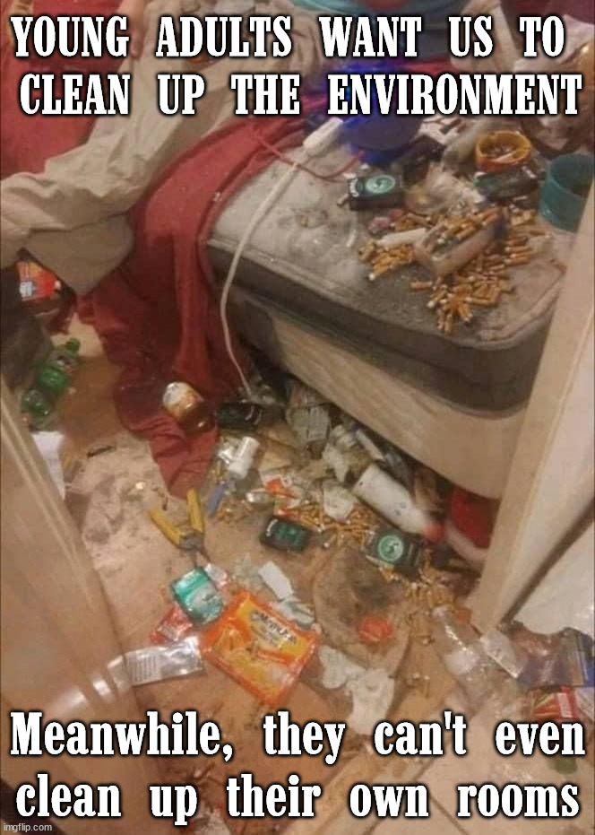 Dirty room | YOUNG ADULTS WANT US TO 
CLEAN UP THE ENVIRONMENT; Meanwhile, they can't even
clean up their own rooms | image tagged in dirty room,conservatives | made w/ Imgflip meme maker
