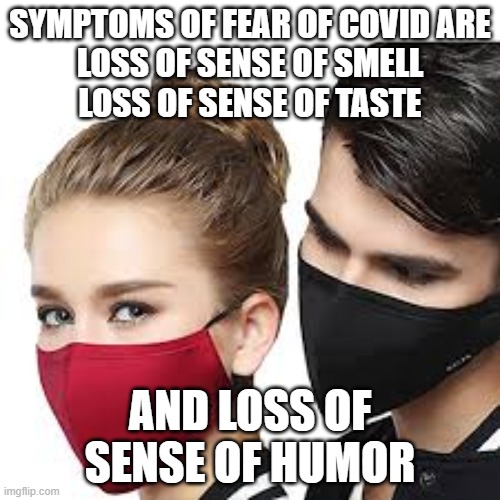 Mask Couple | SYMPTOMS OF FEAR OF COVID ARE
LOSS OF SENSE OF SMELL
LOSS OF SENSE OF TASTE; AND LOSS OF SENSE OF HUMOR | image tagged in mask couple | made w/ Imgflip meme maker