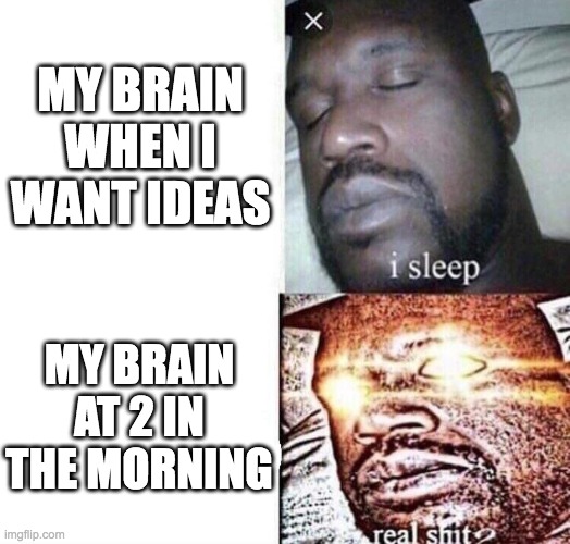 Braindead | MY BRAIN WHEN I WANT IDEAS; MY BRAIN AT 2 IN THE MORNING | image tagged in i sleep real shit,sleeping shaq,shaq | made w/ Imgflip meme maker