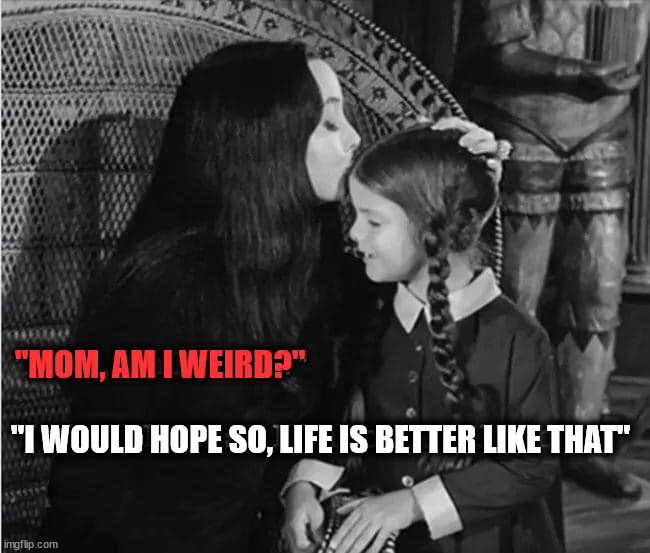 "MOM, AM I WEIRD?"; "I WOULD HOPE SO, LIFE IS BETTER LIKE THAT" | image tagged in who_am_i | made w/ Imgflip meme maker