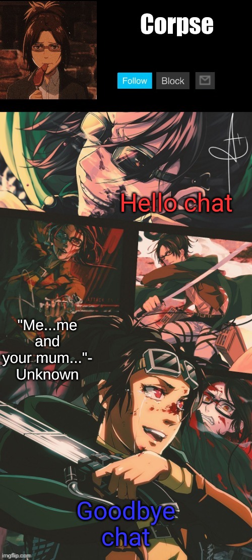 My head is spinning and I'm about to vomit. So bye. | Hello chat; Goodbye chat | image tagged in hanji my beloved | made w/ Imgflip meme maker