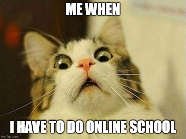 Scared Cat Meme | ME WHEN; I HAVE TO DO ONLINE SCHOOL | image tagged in memes,scared cat | made w/ Imgflip meme maker