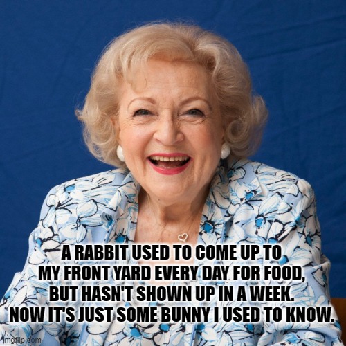 Daily Bad Dad Joke 01/07/2022 | A RABBIT USED TO COME UP TO MY FRONT YARD EVERY DAY FOR FOOD,  BUT HASN'T SHOWN UP IN A WEEK.  NOW IT'S JUST SOME BUNNY I USED TO KNOW. | image tagged in betty white | made w/ Imgflip meme maker
