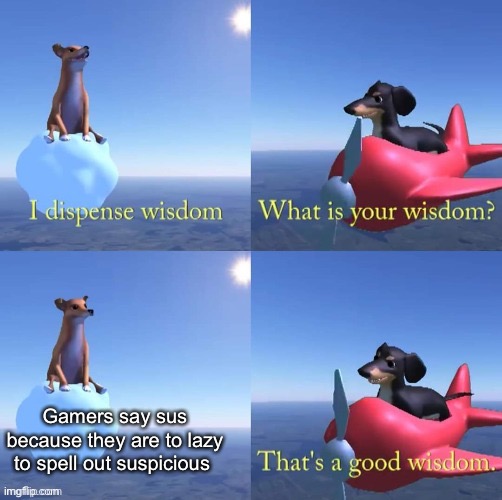 Wisdom dog | Gamers say sus because they are to lazy to spell out suspicious | image tagged in wisdom dog | made w/ Imgflip meme maker