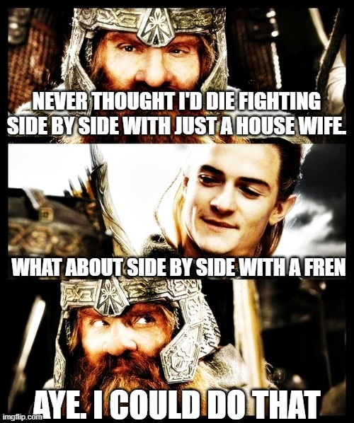 Meme wars | NEVER THOUGHT I'D DIE FIGHTING SIDE BY SIDE WITH JUST A HOUSE WIFE. WHAT ABOUT SIDE BY SIDE WITH A FREN; AYE. I COULD DO THAT | image tagged in lotr - side by side with a friend | made w/ Imgflip meme maker