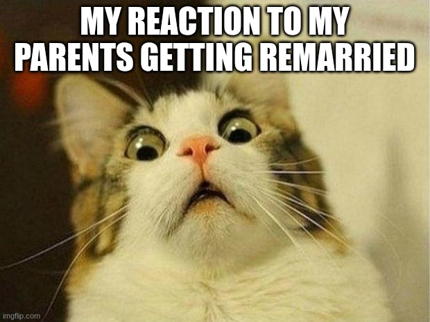 help | MY REACTION TO MY PARENTS GETTING REMARRIED | image tagged in memes,scared cat | made w/ Imgflip meme maker