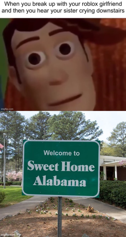 Image tagged in sweet home alabama,funny memes,oh wow are you actually